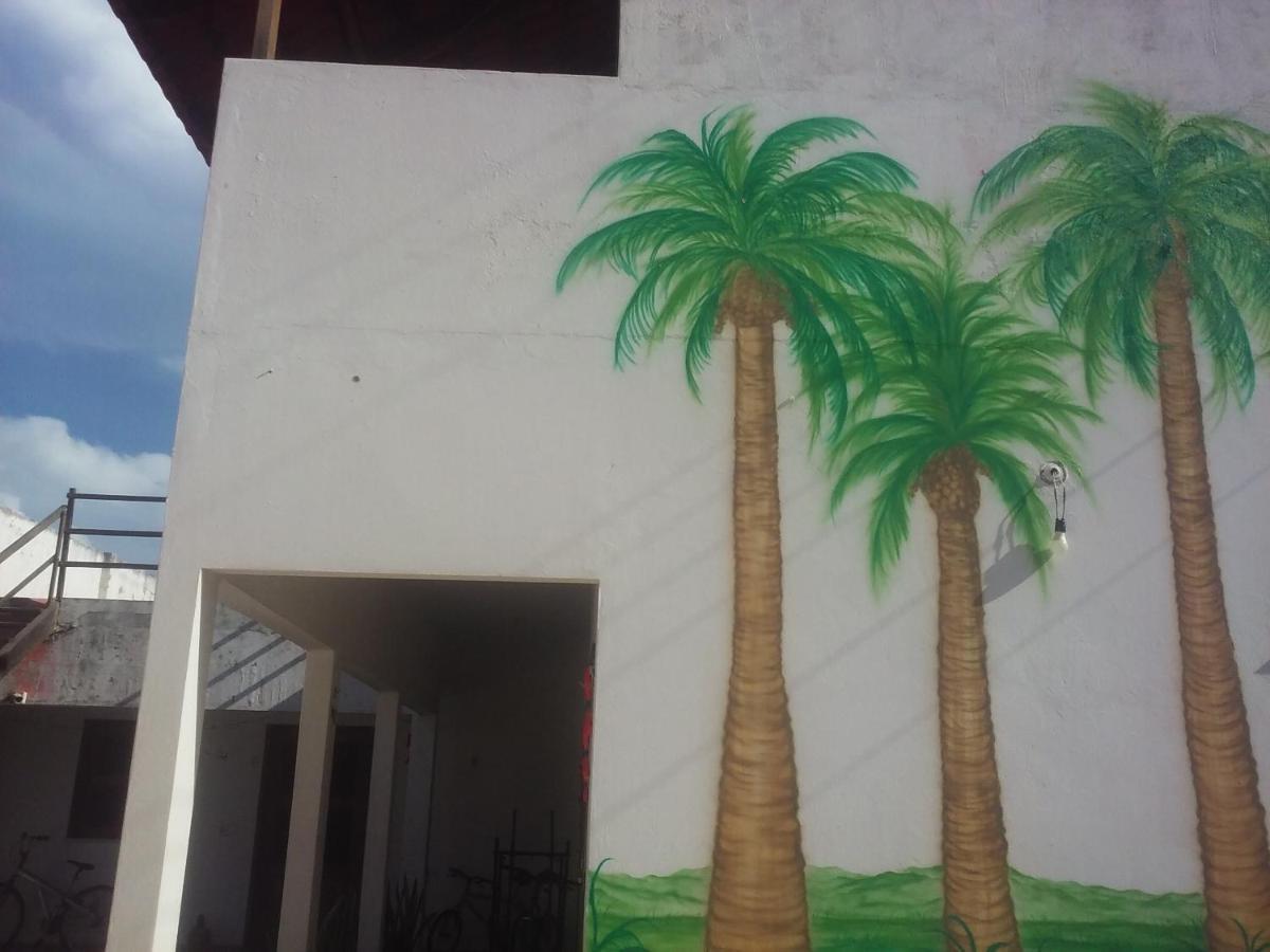 Subindo As Dunas Chales Canoa Quebrada Exteriör bild